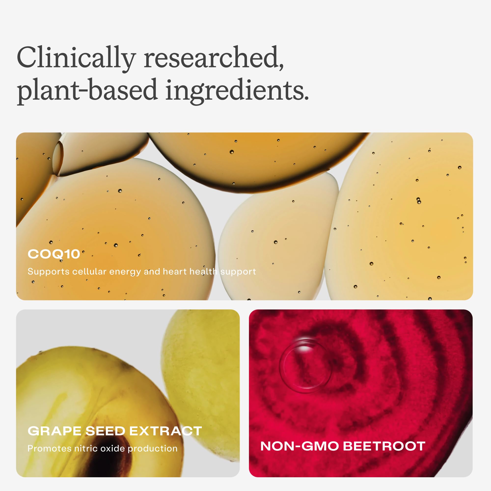 HumanN etiqueta con ingredientes clave mostrando CoQ10 y extractos estudiados