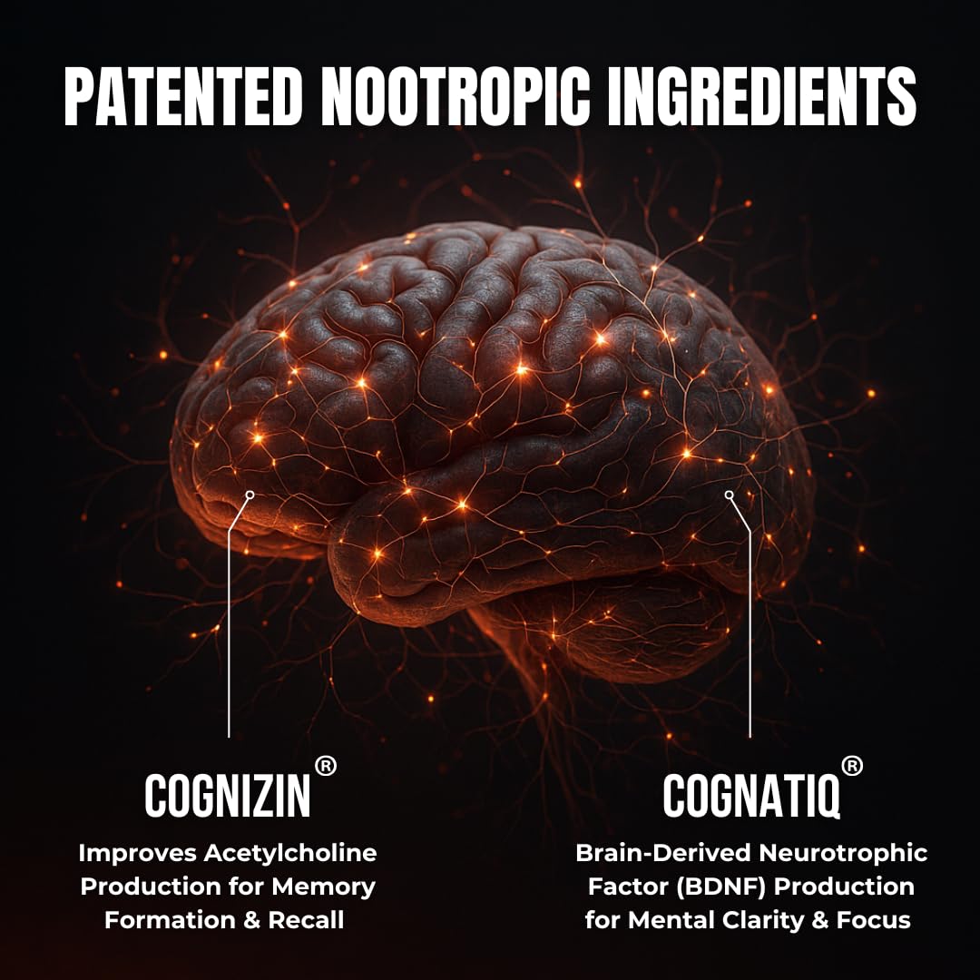 HUMBLEROOTS FOCUS ingredientes naturales en primer plano para soporte cognitivo