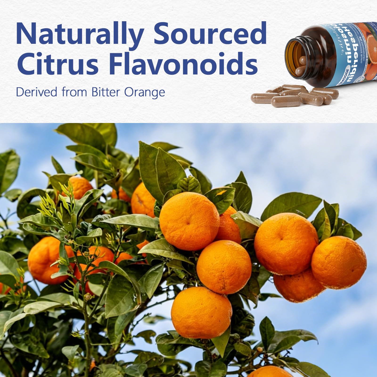 HyberVive fruto Citrus aurantium cercano que ilustra origen vegetal y fuente natural