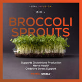 Ideal Infusion brotes de brócoli representando extracto 20x