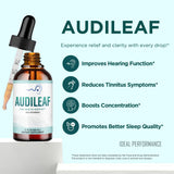 IDEAL PERFORMANCE Audileaf comparación de tamaño para ver portabilidad