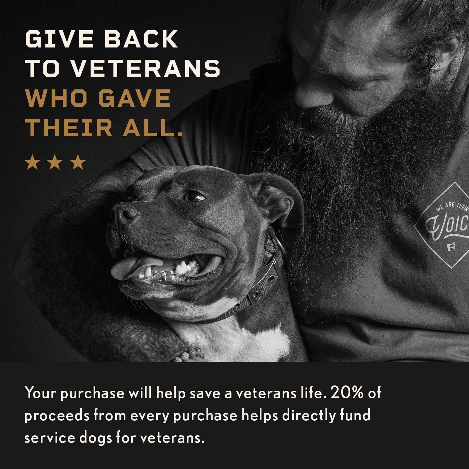 iHeartDogs interior con 54 imanes visibles, distribución uniforme para contacto