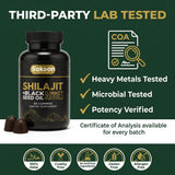 Sakoon nutrition Gomitas Pure Shilajit con Aceite de Semilla Negra — Resina Himalaya, Energía y Claridad Mental