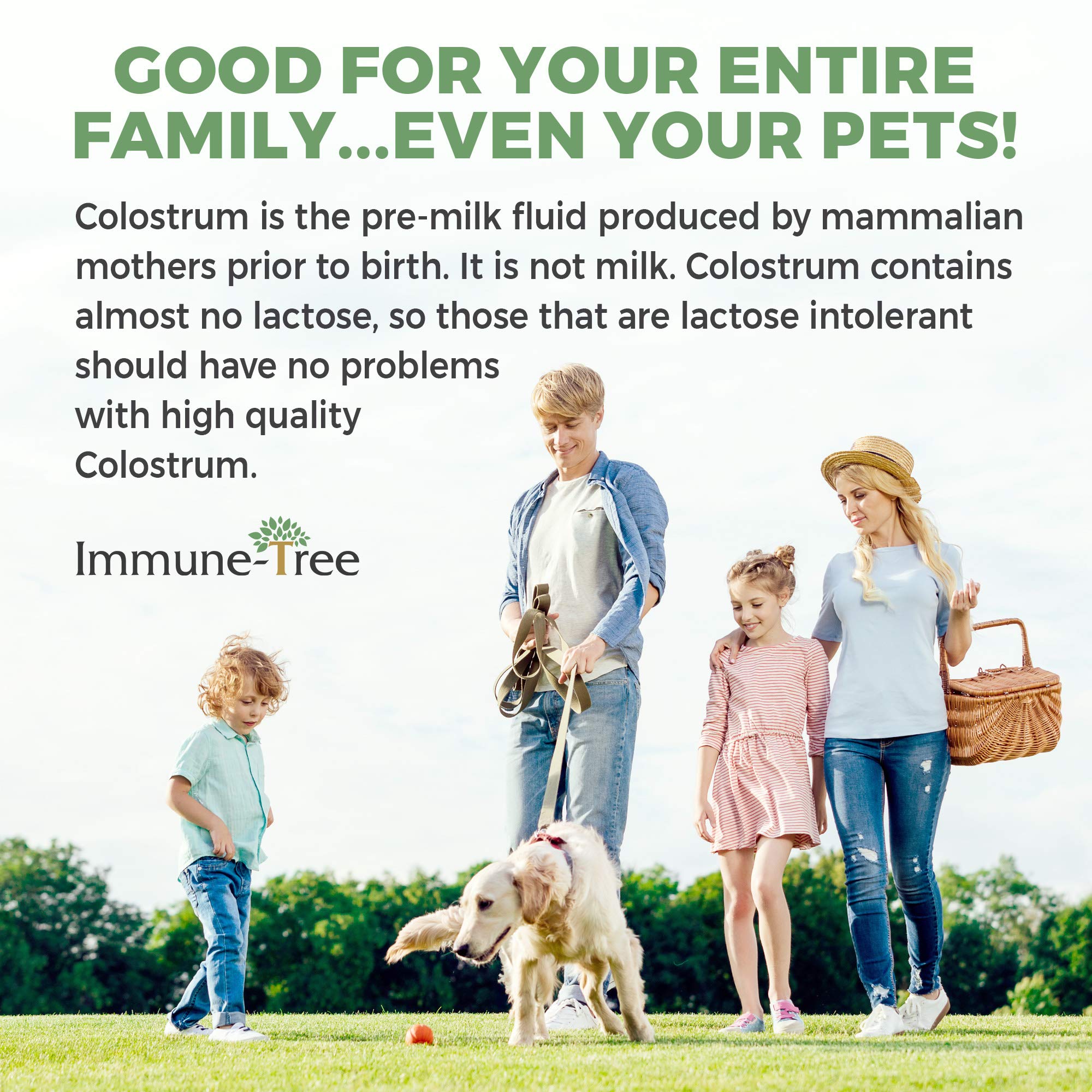 Immune-Tree uso en cocina mezclado en recetas y bebidas saludables