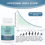 inGreens gota de aceite liposomal ilustrando absorción mejorada