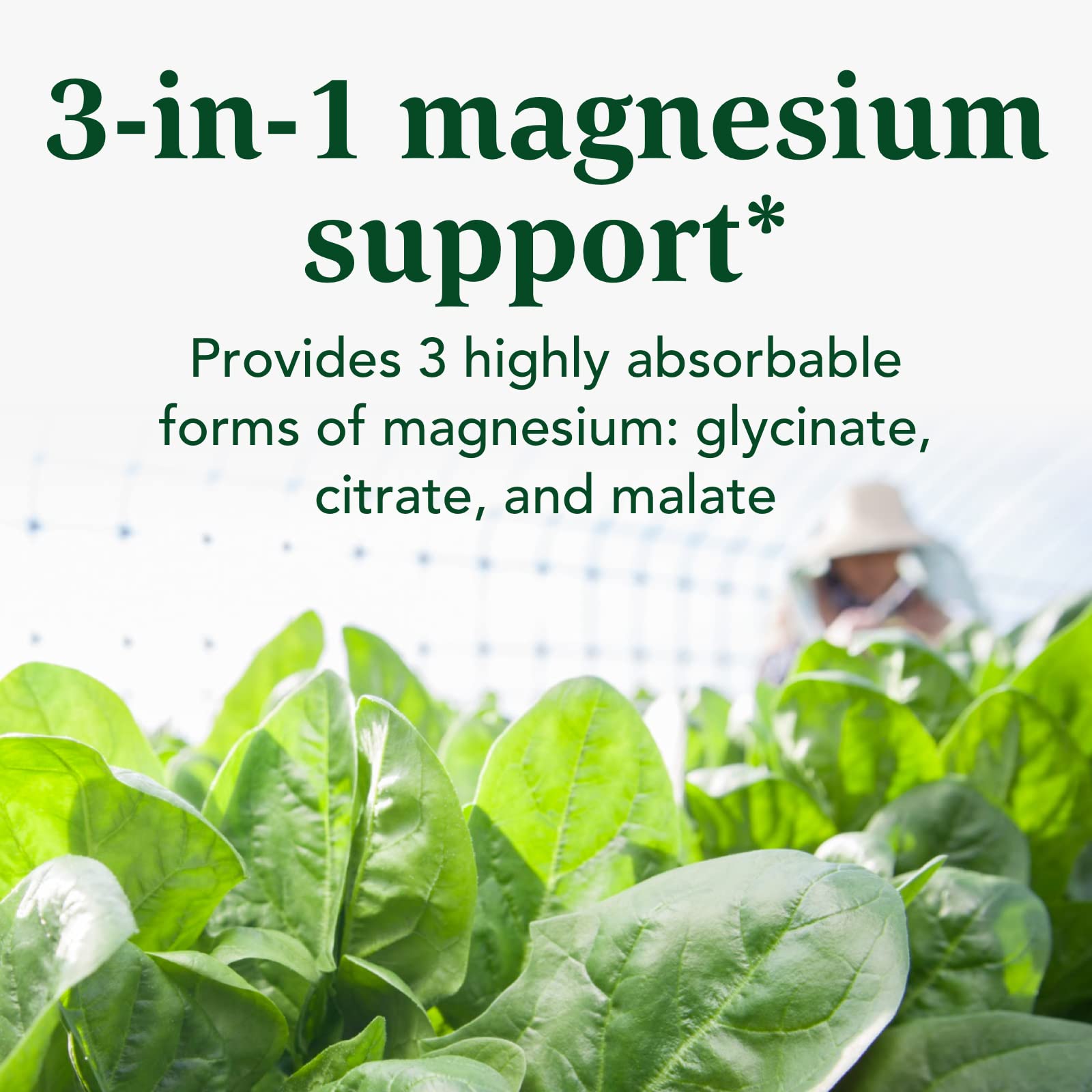 INNATE Response Formulas etiqueta nutricional ampliada mostrando ingredientes clave