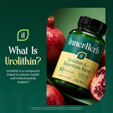 InnerHerb cápsulas en mano ilustrando tamaño y facilidad de toma