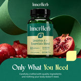 InnerHerb comparación de tamaño junto a una mano para referencia