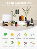 InnoGear set de 10 aceites esenciales 10 ml listos para usar y regalar