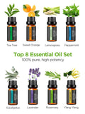 InnoGear conjunto de 8 aceites esenciales 10 ml variedad aromática