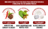 InnoSupps en ambiente de gimnasio sugiere apoyo a entrenamientos