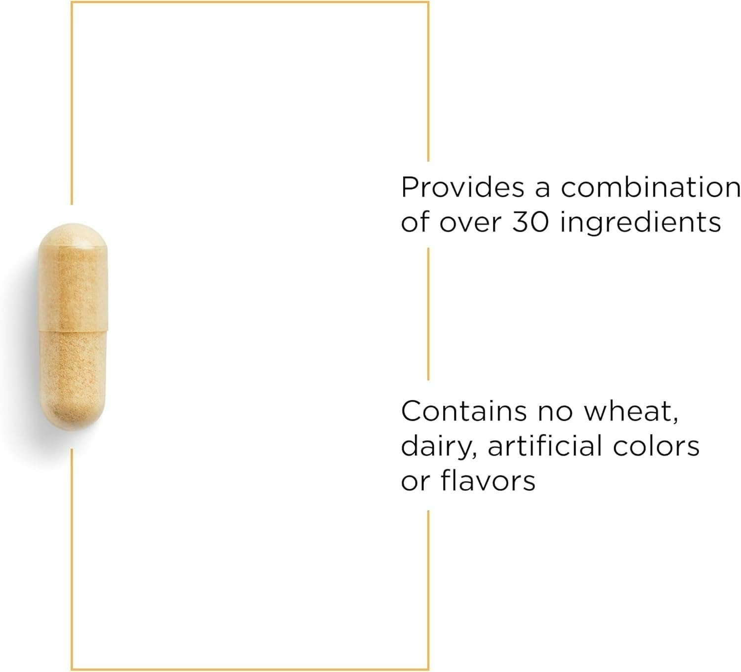 Integrative Therapeutics ingredientes clave sobre fondo neutro, muestra variedad y respaldo nutricional