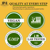 IP6 Gold comparación tamaño con cuchara para control de dosis visual