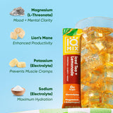 IQBAR primer plano de Lion’s Mane en etiqueta, apoyo al enfoque