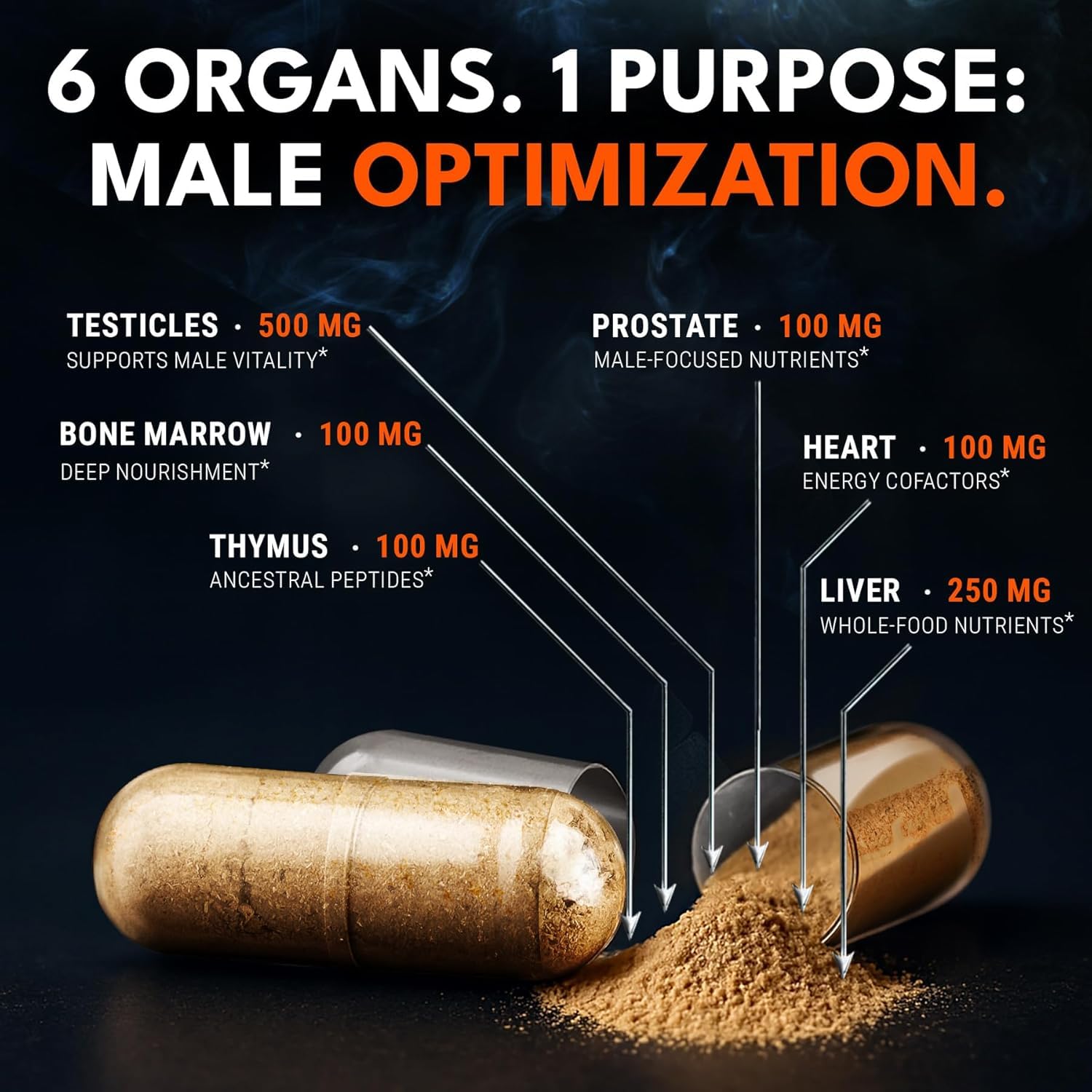 IRONCLAD NUTRITION proceso de liofilización ilustrado conservando nutrientes