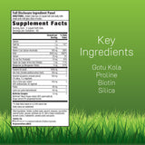 Irwin Naturals cápsula blanda en primer plano, fácil de tragar y absorbible
