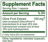 Island Nutrition olivares de Andalucía con aceitunas, garantía de origen y cultivo familiar