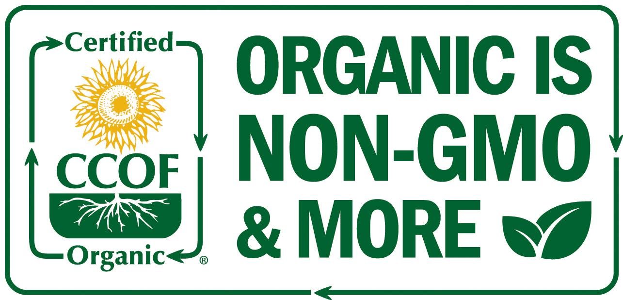 Island Nutrition frasco en cocina mostrando integración en rutina diaria