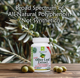 Island Nutrition olivar español donde crecen las hojas y se garantiza origen