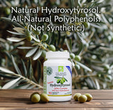 Island Nutrition polvo de extracto de aceituna en cuchara, concentrado y sin aditivos