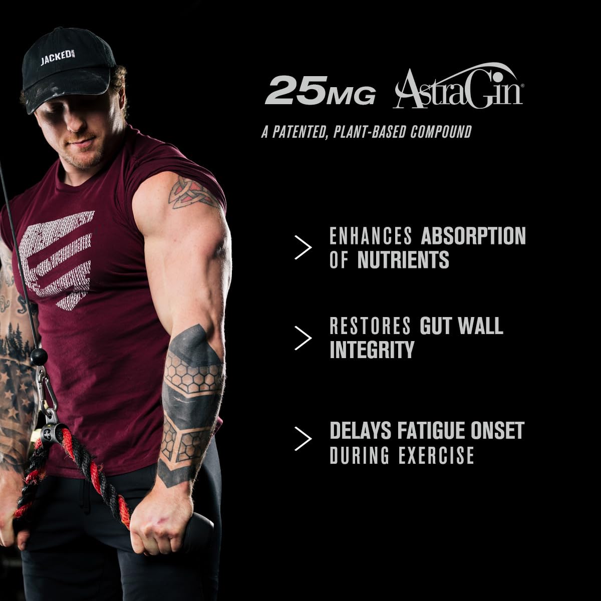 Jacked Factory polvo e ingredientes secos resaltando calidad
