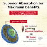 Jagielolia cápsula abierta revelando contenido liposomal para mejor absorción
