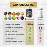 JB Wellness Co enfoque en sea moss para resaltar origen marino beneficioso