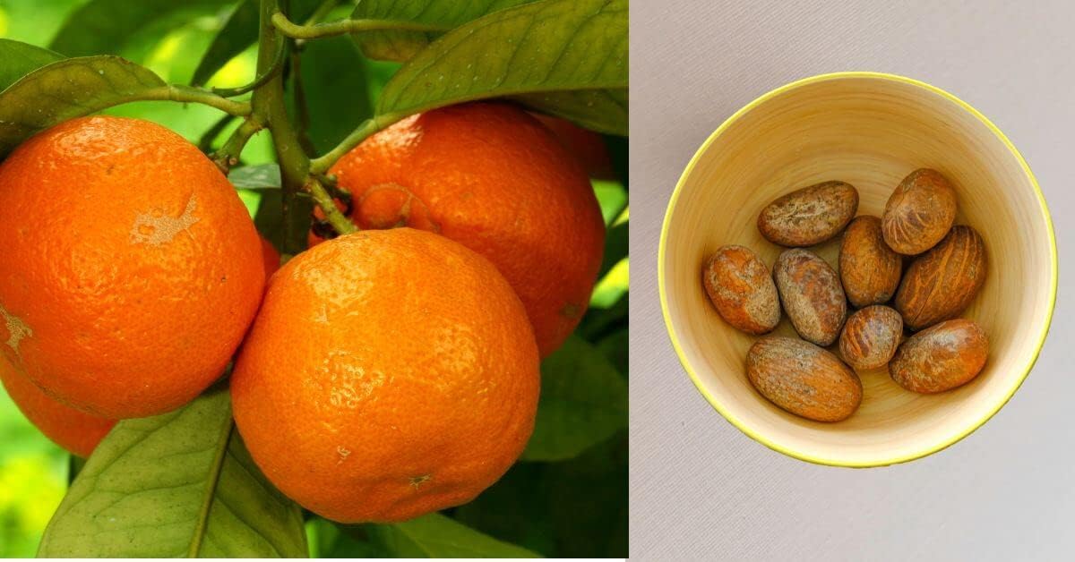 JEB FOODS etiqueta que muestra origen en África Occidental y pureza