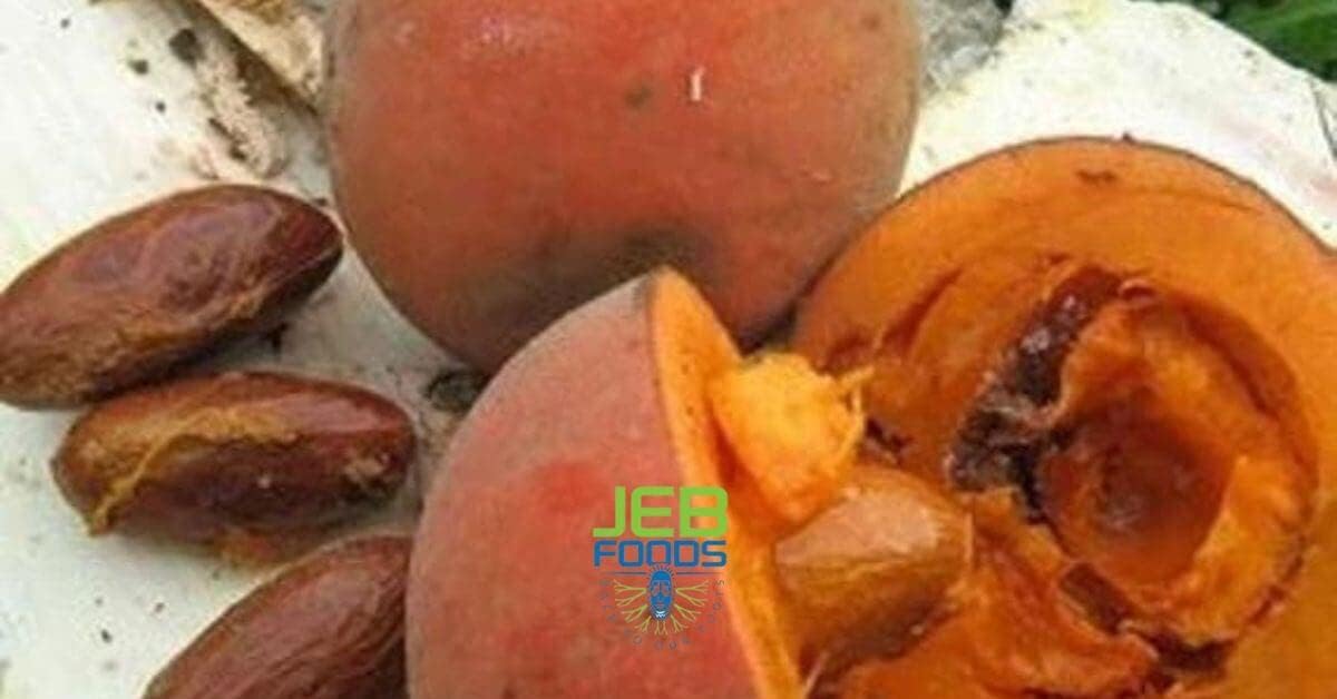 JEB FOODS uso culinario en cocina, integración en recetas caseras