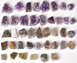 JIC Gem racimo en una sala como pieza decorativa que mejora espacios