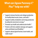 Jigsaw Health cápsulas en vial abierto demuestra cantidad y conveniencia