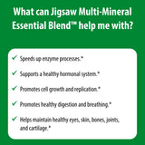 Jigsaw Health frasco entre alimentos saludables sugiriendo complemento dietario