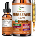 JINGYAT envase frontal de berberina 500mg, formato líquido fácil de tomar