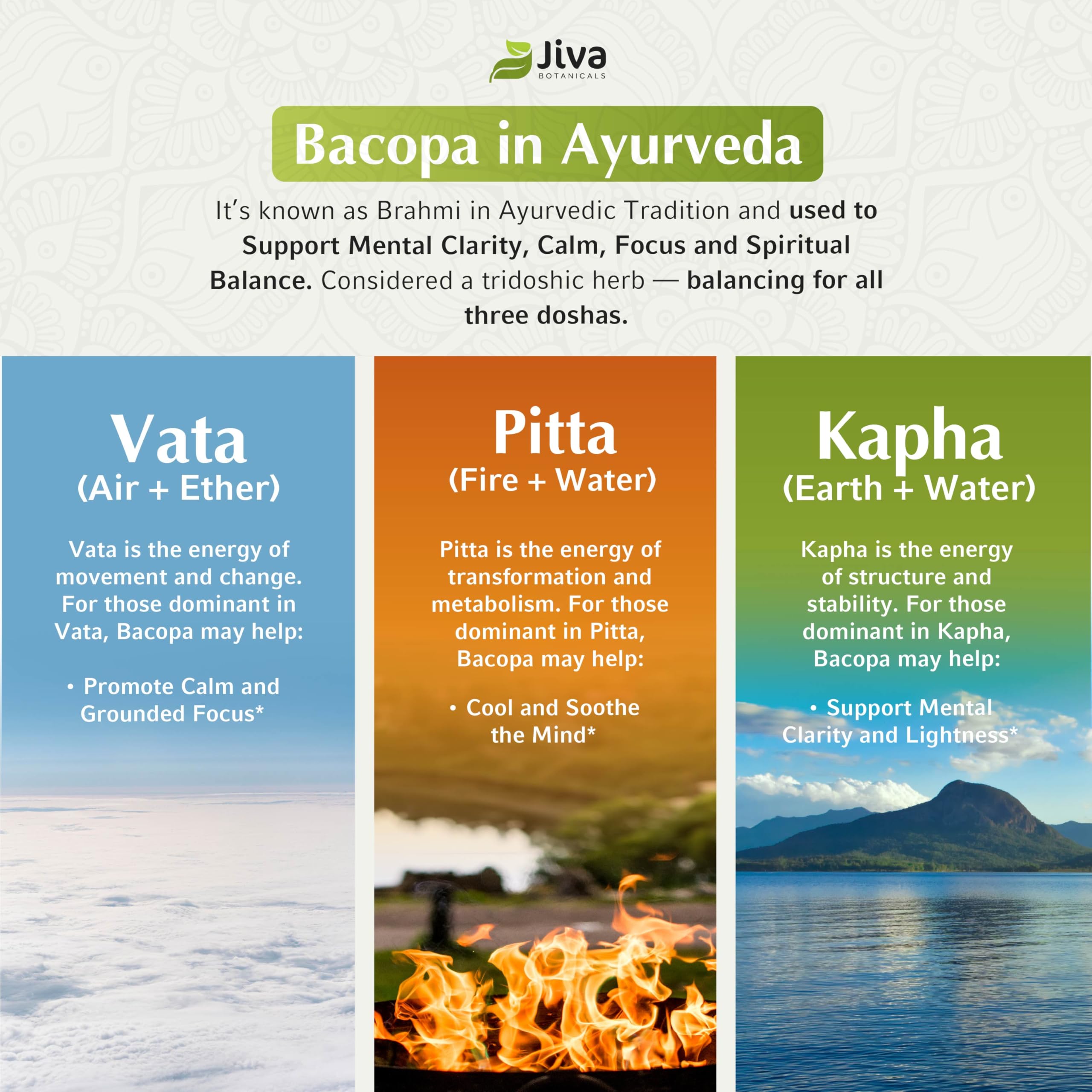 Jiva Botanicals comparación de tamaño de cápsula para referencia visual