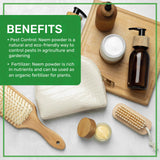 Jiva Organics mascarilla facial preparada con neem demostrando aspecto de aplicación