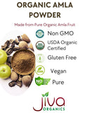 Jiva Organics polvo de amla a detalle, aspecto fino y sin grumos