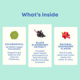JoySpring etiqueta con lista de ingredientes y sello cGMP garantizando calidad
