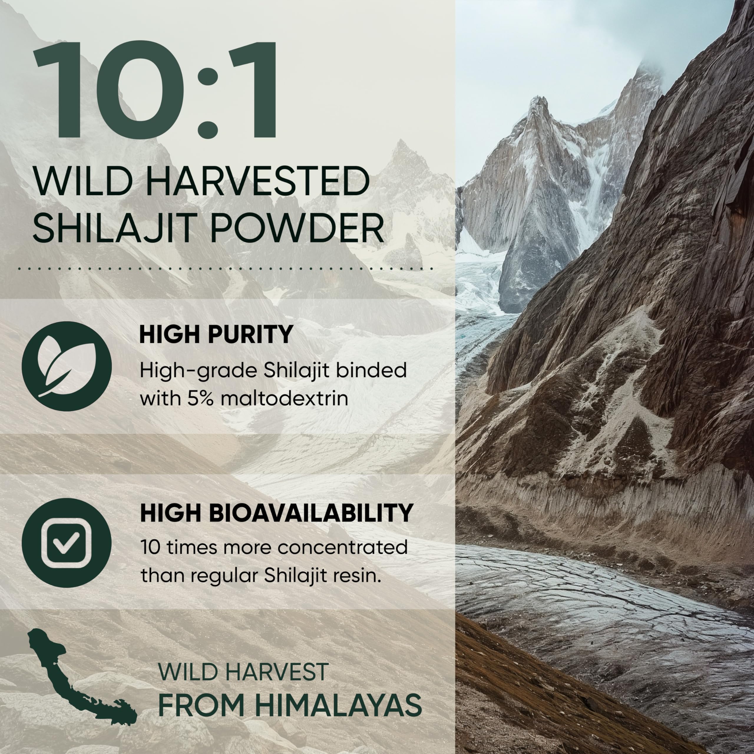 Jungle Powders cucharada con polvo representando la dosis y fácil disolución