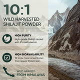 Jungle Powders cucharada con polvo representando la dosis y fácil disolución