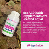 Just Thrive familia en cocina ilustrando uso diario seguro