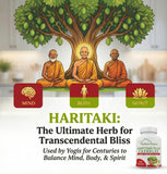Kailash Herbals cápsula en la mano para ver tamaño y dosificación cómoda