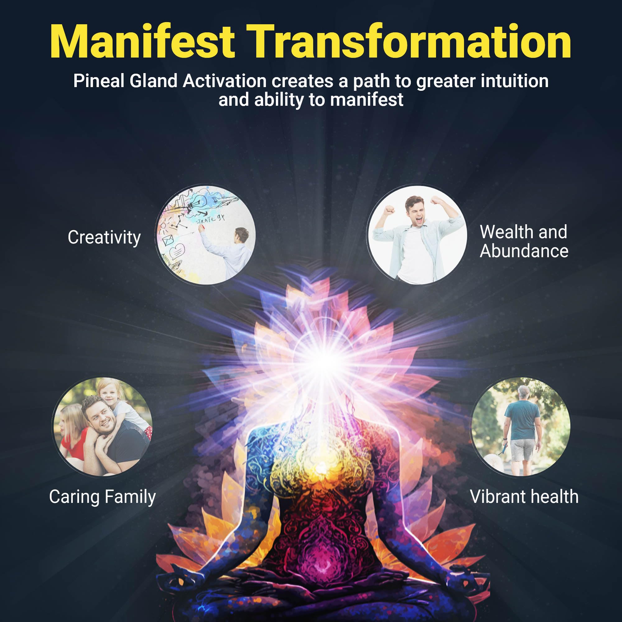 Kailash Herbals acceso al programa Mastery con ebook y videos formativos