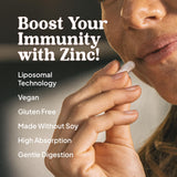 KAL ilustración de liposomas protegiendo zinc, beneficio absorción mejorada