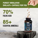 Ingredientes clave Kapiva: shilajit, ashwagandha, cúrcuma y tribulus