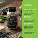 KaraMD close-up de olmo resbaladizo y bladderwrack destacando origen natural