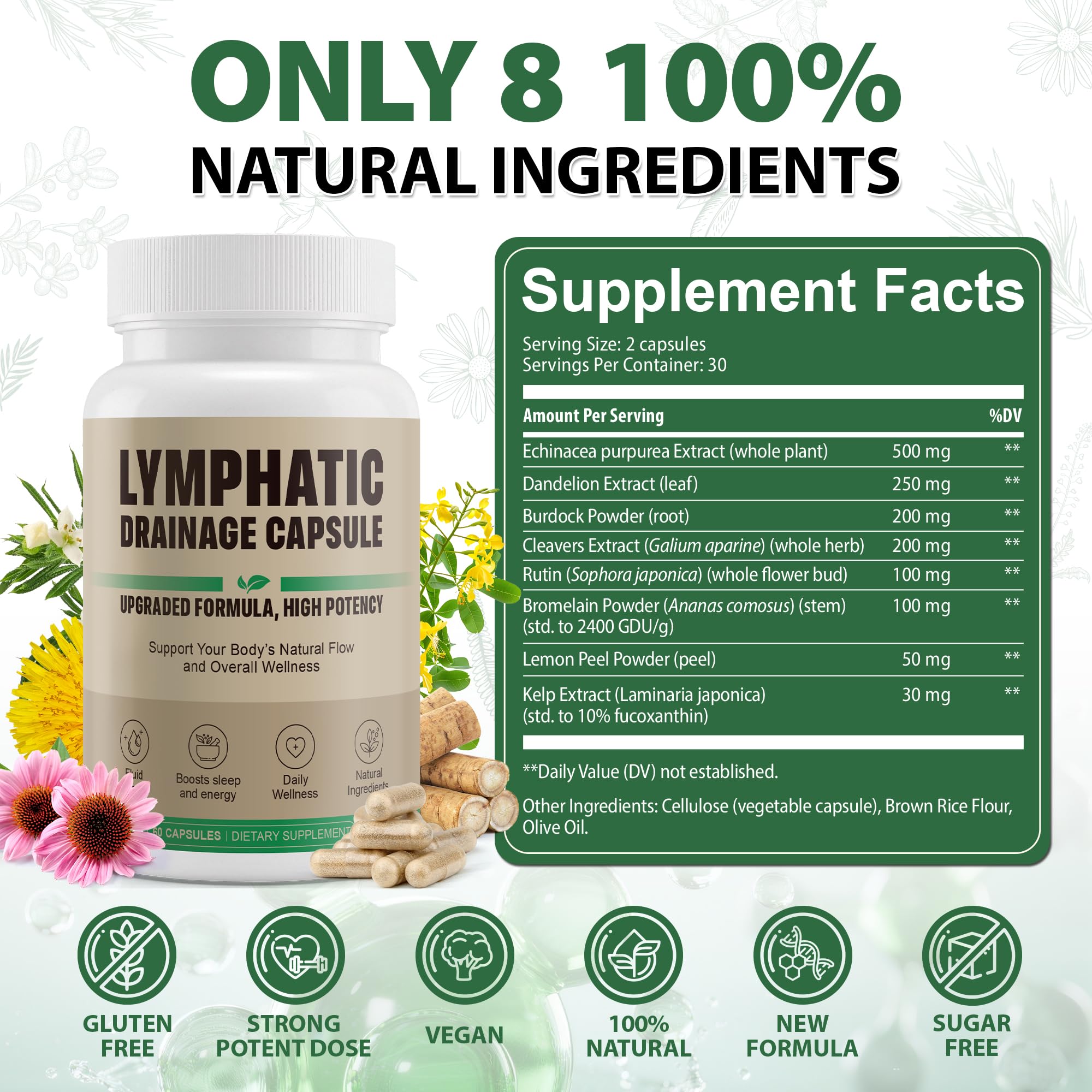 Kaseano ingredientes secos como diente de león y equinácea mostrando origen natural