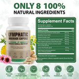 Kaseano ingredientes secos como diente de león y equinácea mostrando origen natural