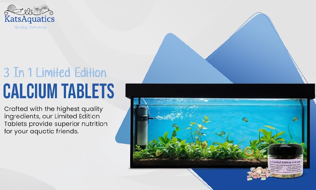 KatsAquatics camarones alimentándose destacando ingestión segura