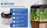 KatsAquatics caracol acercándose a tableta para fortalecimiento