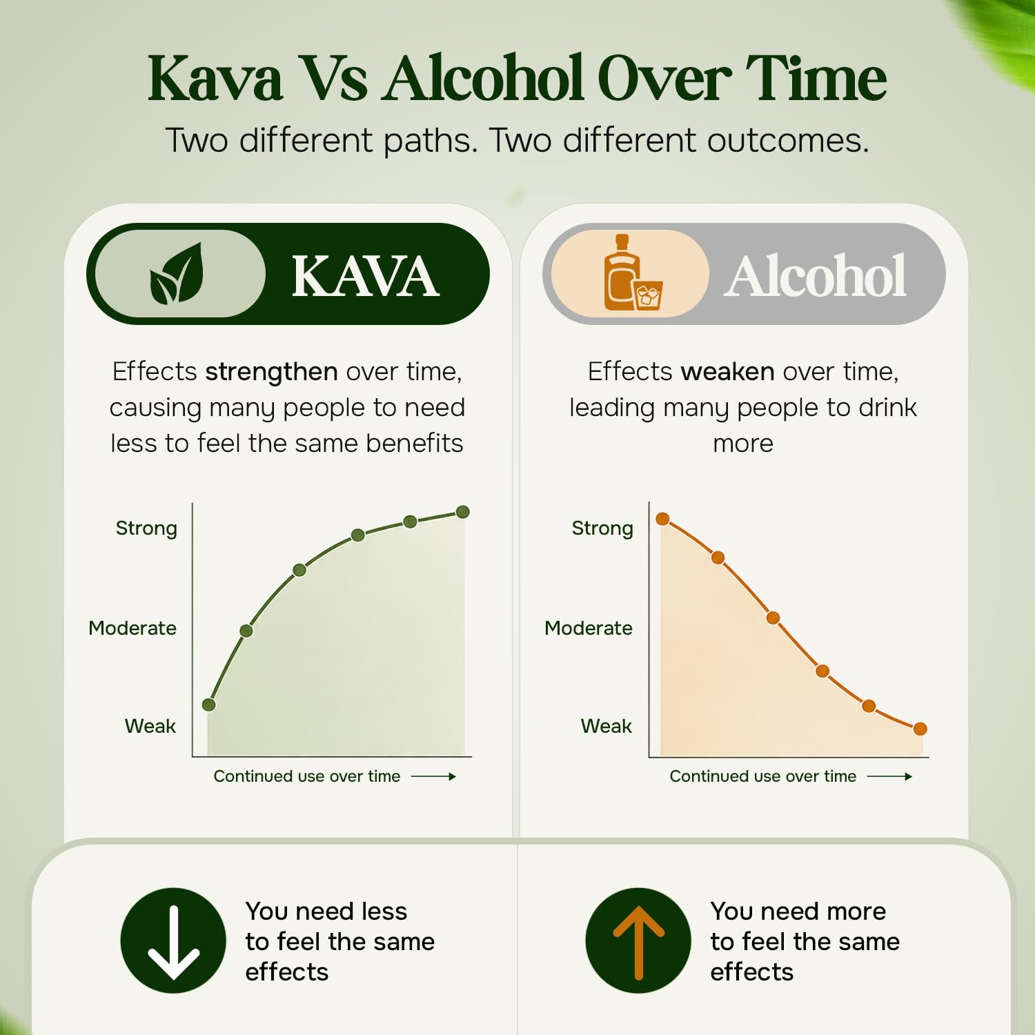 Kava Haven cierre y tapón que garantizan conservación y sello hermético